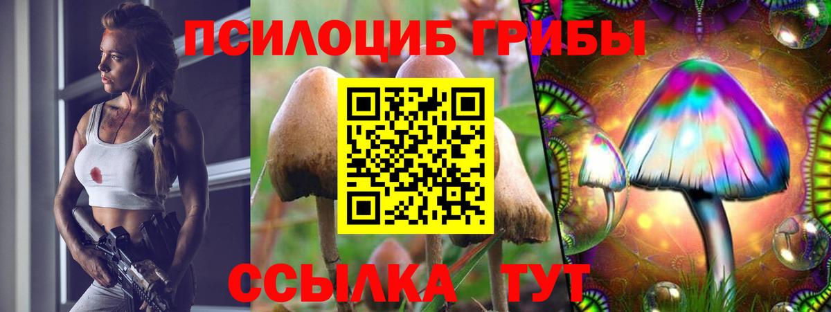 Галлюциногенные грибы ЛСД Югорск